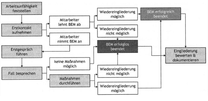 Abbildung 2: Typischer BEM-Prozess (Weigl & Weinreich, 2011)
